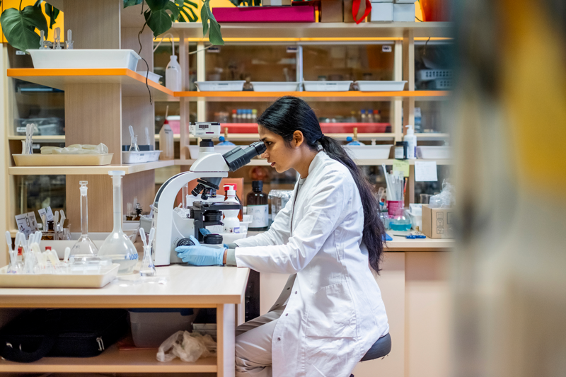 Medical Research Using L. sakei Is Expanding At a Rapid Pace
